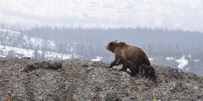 工业设备70：成都科利尔如何以创新工业解决方案驱动产业升级