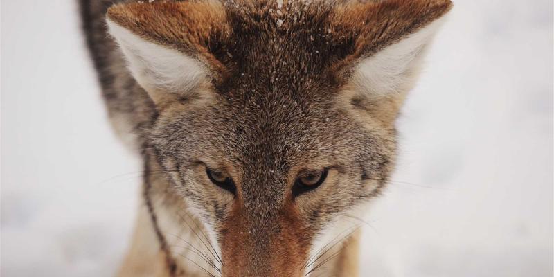 工业设备振动分析与状态监测技术深度解析：供应商如何提供卓越的仪器仪表与工业解决方案