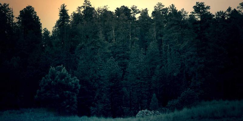 成都科利尔：工业设备高效运维与智能化解决方案全解析