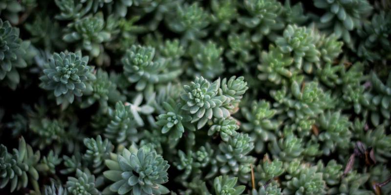 老旧工业设备智能化升级改造：技术路径与经济效益评估 | 成都科利尔工业解决方案