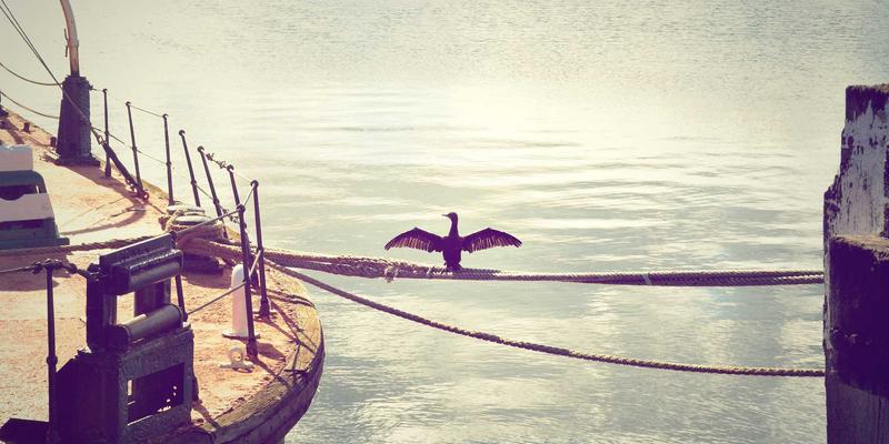 老旧工业设备智能化改造路径：传感器加装与数据平台集成方案